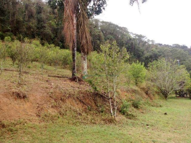 Fazenda rural à venda, Providência, Teresópolis. - Foto 6