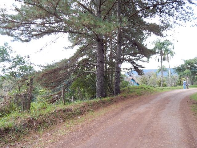 Barbada! Lindo sítio em Gramado/RS - Foto 6