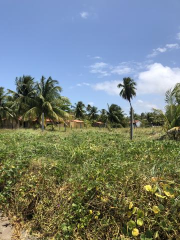 Terreno a BEIRA MAR em Japaratinga - Foto 3