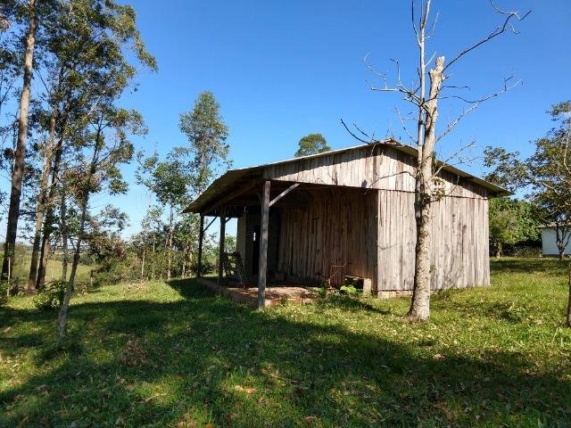 Sítio 16,6 Hectares - Barro Vermelho - Gravataí - RS - Foto 12