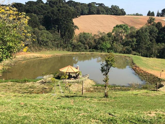 REF. 2194 - Ótima Propriedade Rural a 500 metros do asfalto e a 8 km de Araucária - Foto 18