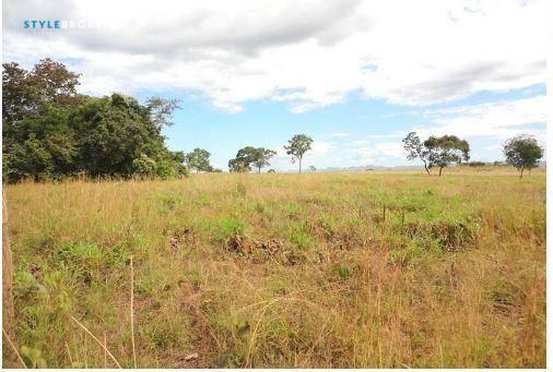 Fazenda em jangada - MT - Foto 9