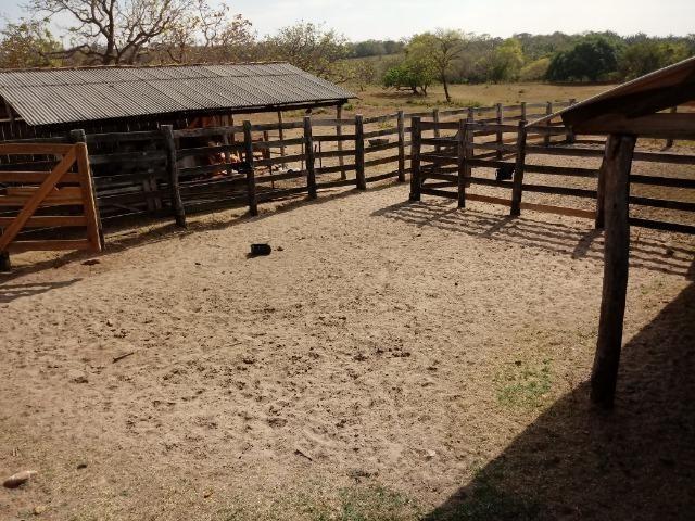 Fazenda para Pecuaria com 1.100 hectares na beira no Lago do Manso - Foto 11