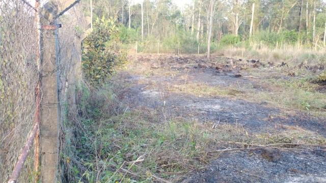 Terreno 15x75 Guaiba coutry clube - Foto 2
