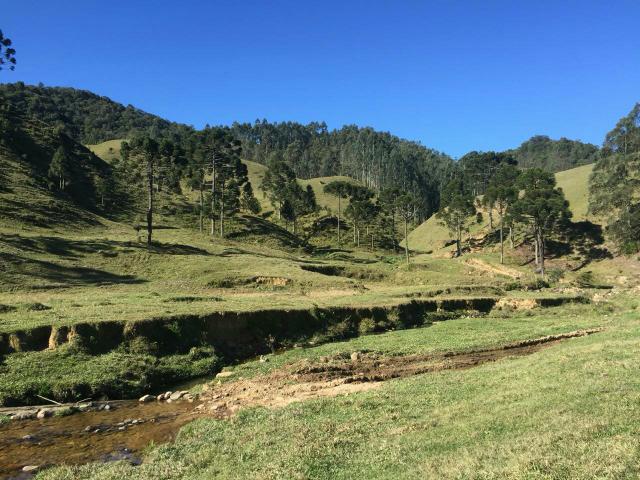 Fazenda anitápolis - Foto 13
