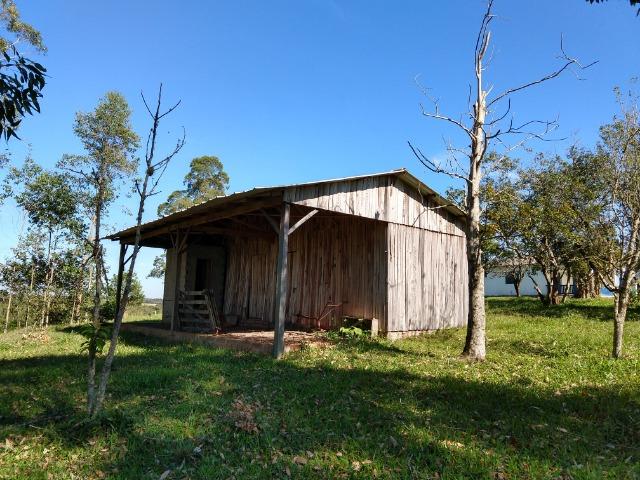 Sítio 16,6 Hectares - Barro Vermelho - Gravataí - RS - Foto 8