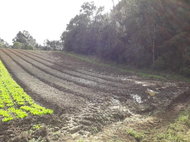 Chácara com 39.631m2 em Campina Grande do Sul - Aceito Imóvel Com Volta - Foto 8
