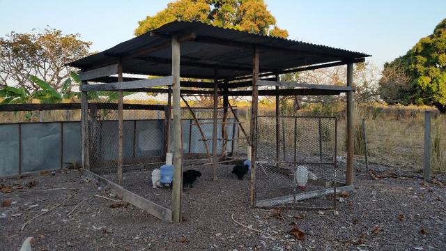 Sitio para arrendamento na região do aricazinho, pedra 90 - Foto 14