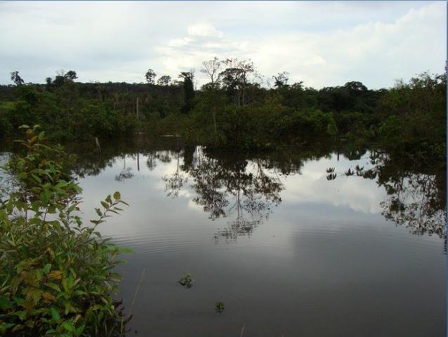 Fazenda região de Juara F0022 - Foto 3