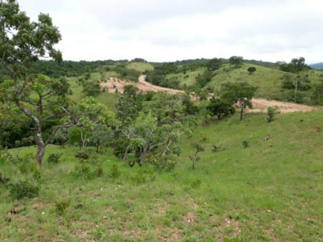100 Hectáries 70 Km de Cuiabá - Foto 4