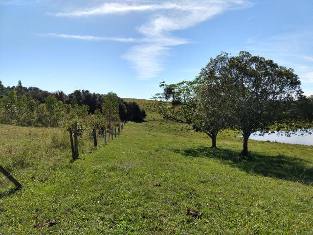 Sítio 16,6 Hectares - Barro Vermelho - Gravataí - RS - Foto 19