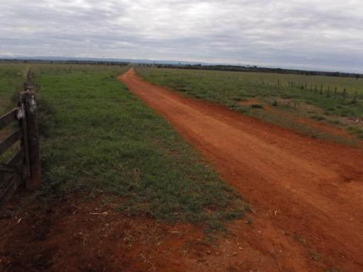 Fazenda 15000 hectares em vila bela, ha 60 km ponte e Lacerda - Foto 3