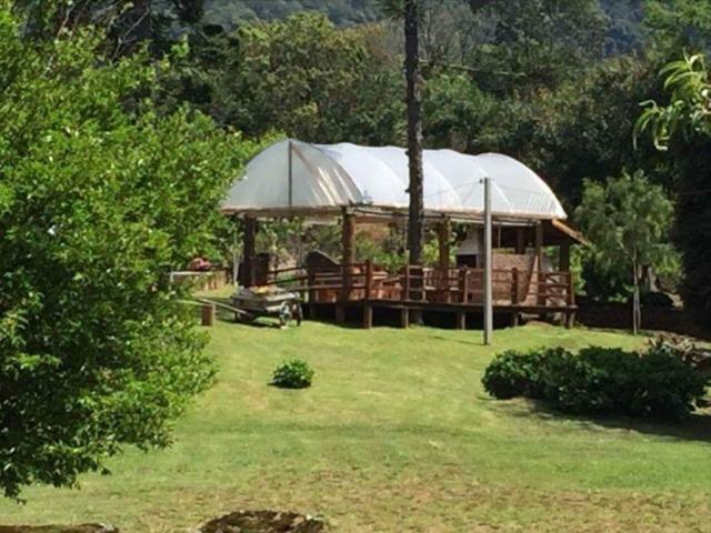 Vinícola em Gramado em produção - Foto 18