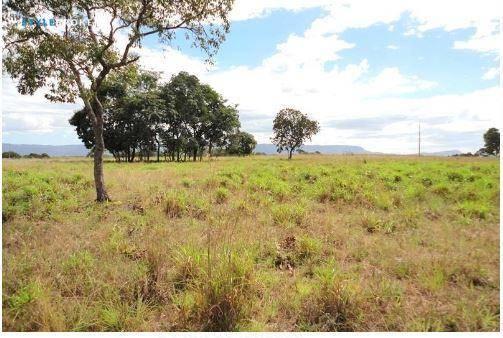Fazenda em jangada - MT - Foto 12