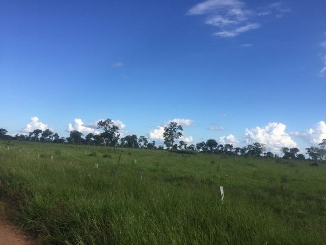 Fazenda 10593 hectares, sendo 7370 formado, terra de cultura - Foto 5