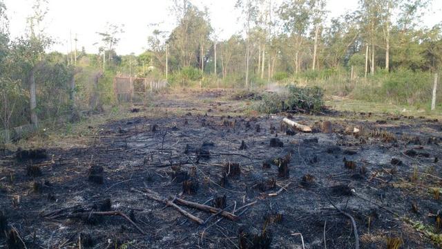 Terreno 15x75 Guaiba coutry clube - Foto 4