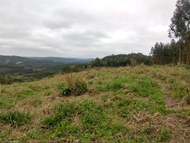 Fazenda em Campo Largo Bairro São Silvestre - Foto 8