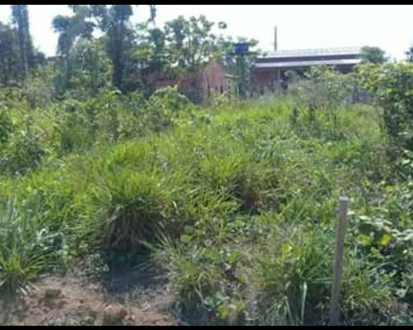 Vende_se este terreno - Foto 4