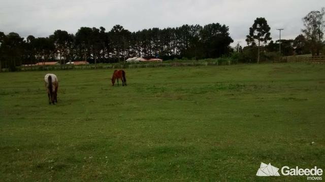 Chacara|Área com 60.000m² em São José dos Pinhais - Foto 2