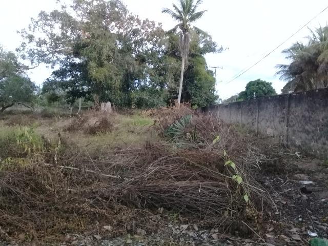 Excelente área de terra no povoado de boa hora, próximo ao parque viver tomba - Foto 13