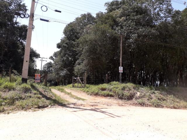 Chácara com 39.631m2 em Campina Grande do Sul - Aceito Imóvel Com Volta - Foto 4