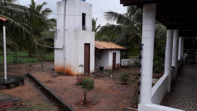 Fazenda em Conde, 45 tarefas - Foto 7