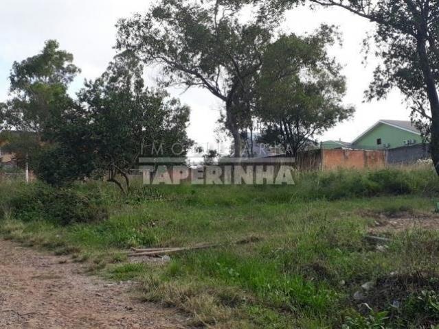 Terreno à venda em Cerrito, Santa maria cod:10766 - Foto 3