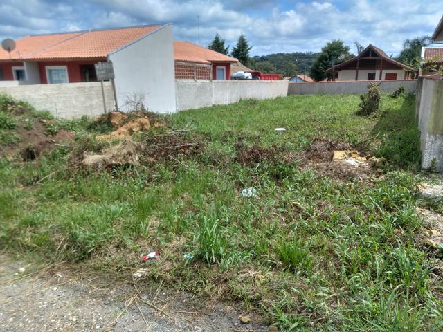 Terreno em tijucas do sul - Foto 3
