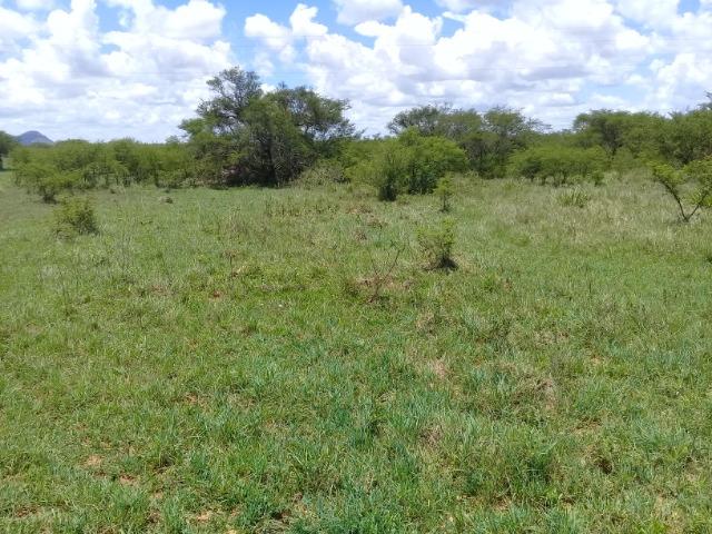 Excelente área de terra às margens da BR 116, com 614.196m - Foto 8