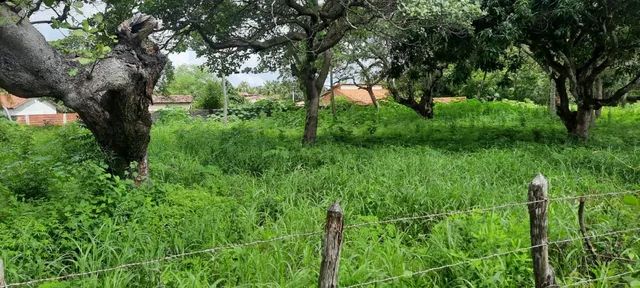 Oportunidade única Cascavel - Raridade