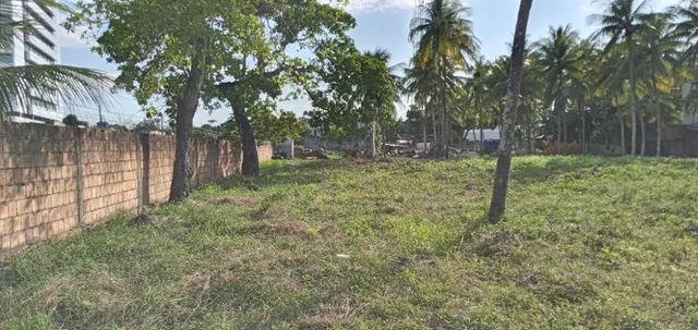 Área com 3000m² na Gruta de Lourdes - Foto 4