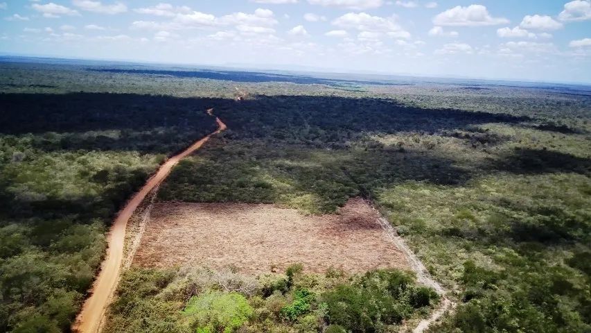 Fazenda dupla aptidão em Piracuruca - 4800 Hectares - Foto 3