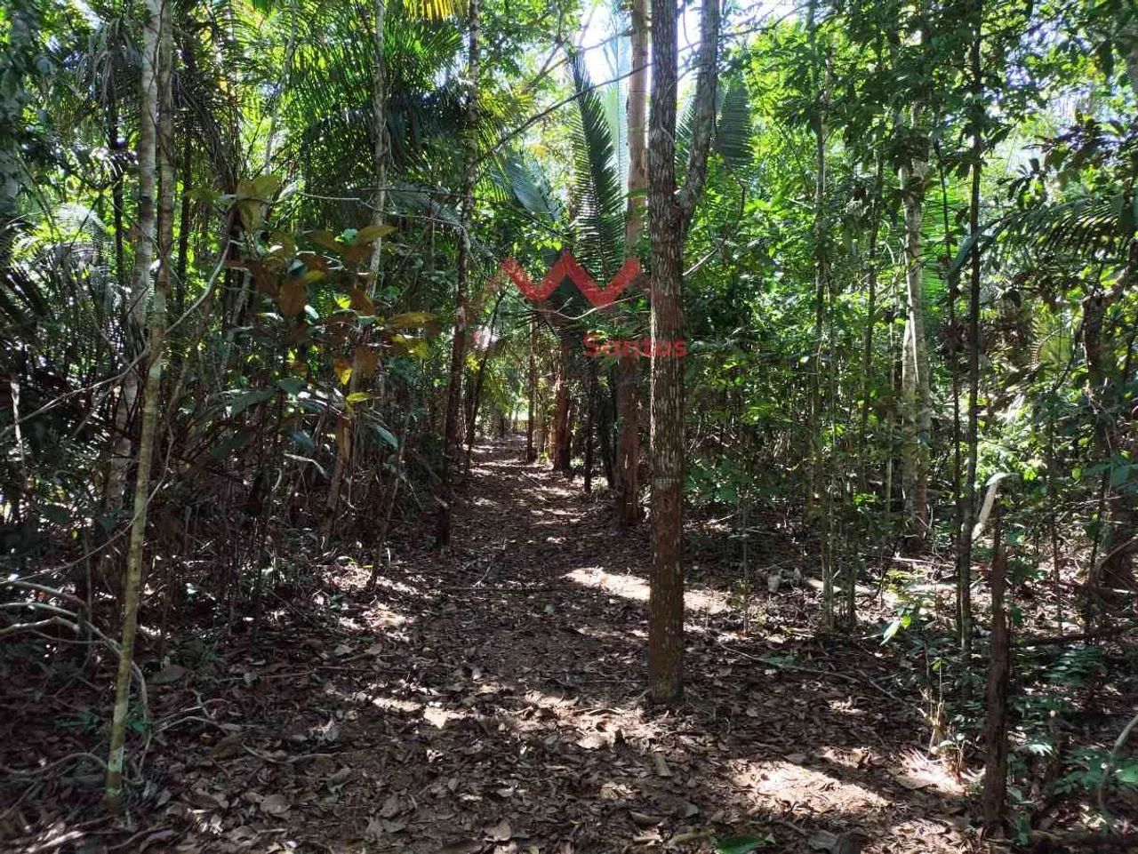 Chácara para Venda com 31.500 m², Linha Progresso, Marcos Freire - Porto Velho - RO - Foto 13