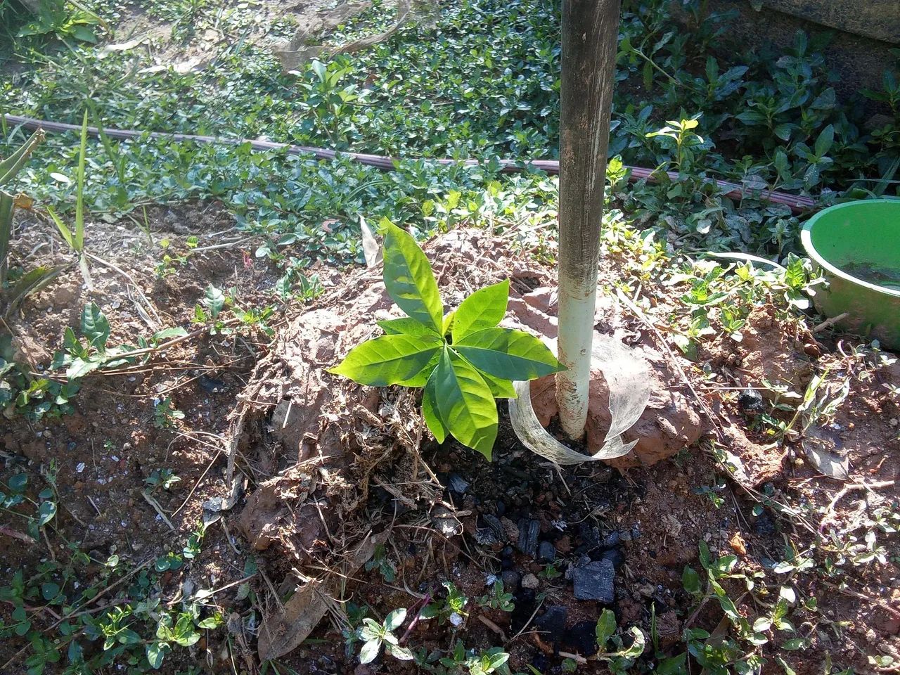 Chacara medinfo 4 mil MTS 177 mil reais  - Foto 3
