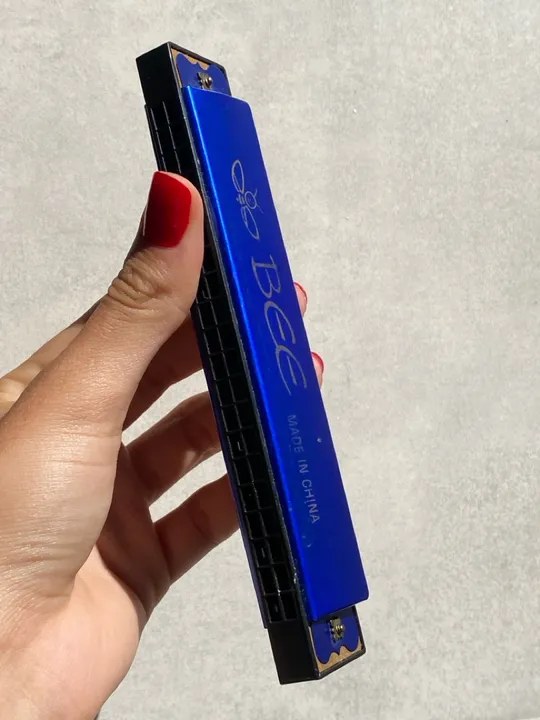 Gaita Harmônica Bee - Azul