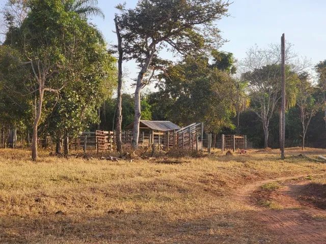 50 hectares a 25 Km de Campo Grande - Foto 13