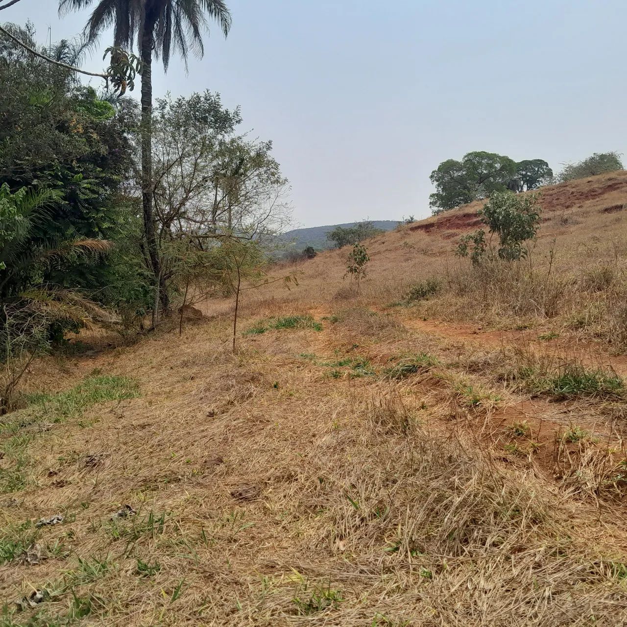Chacaras com água no fundo em juatuba - Foto 4