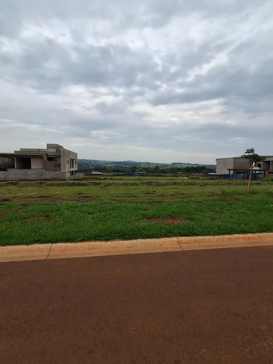 Lote Plateau Dor UNIQUE