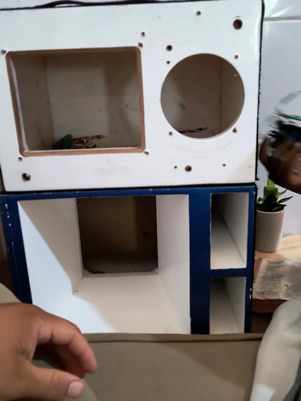 Vendo caixa de corneta e um estrobo