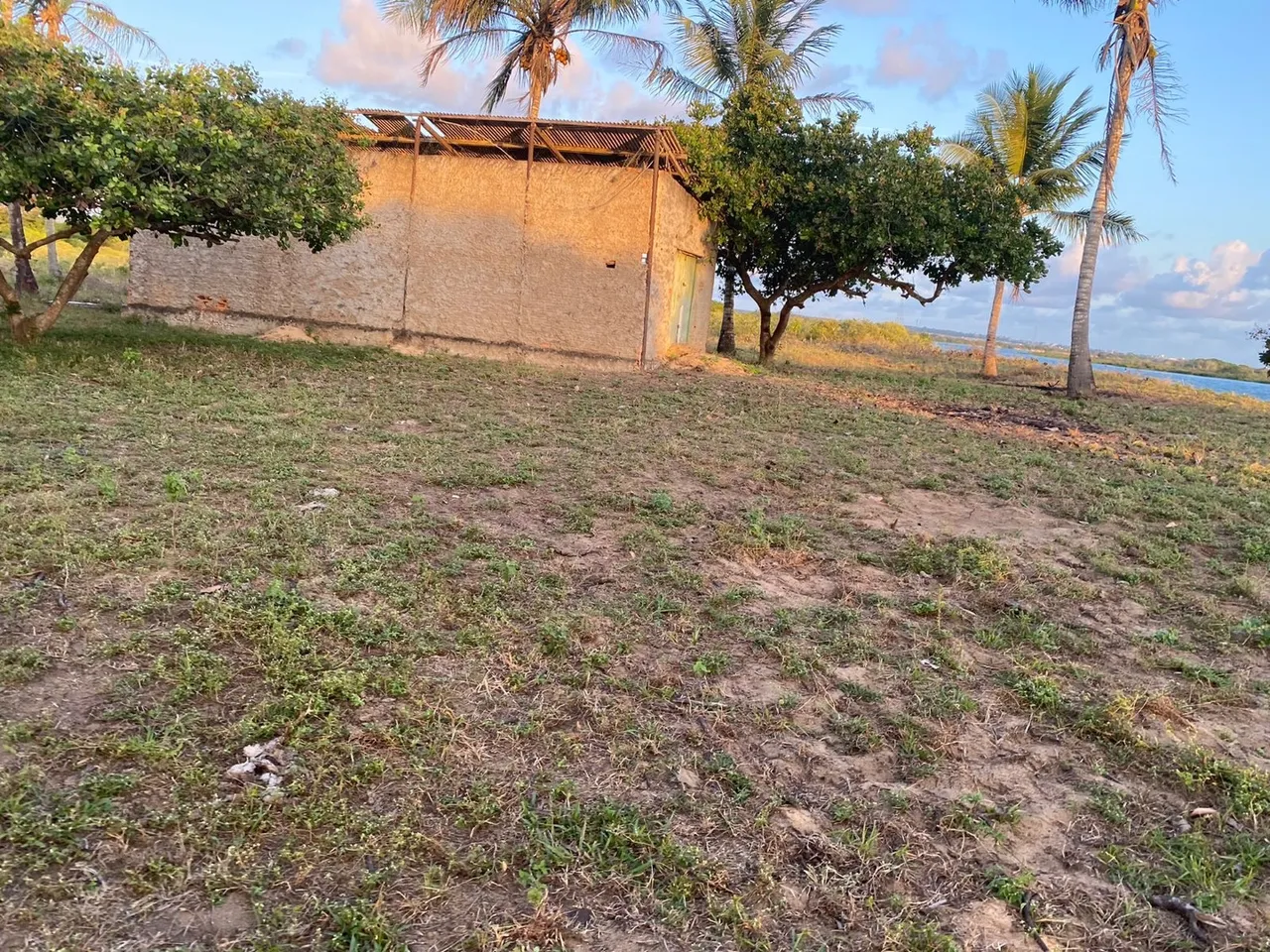 Fazenda 310 tarefas a 3.500 reais escriturada