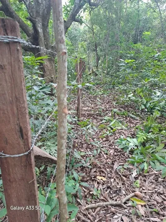 Chácara de 7.660 m² no São João 2