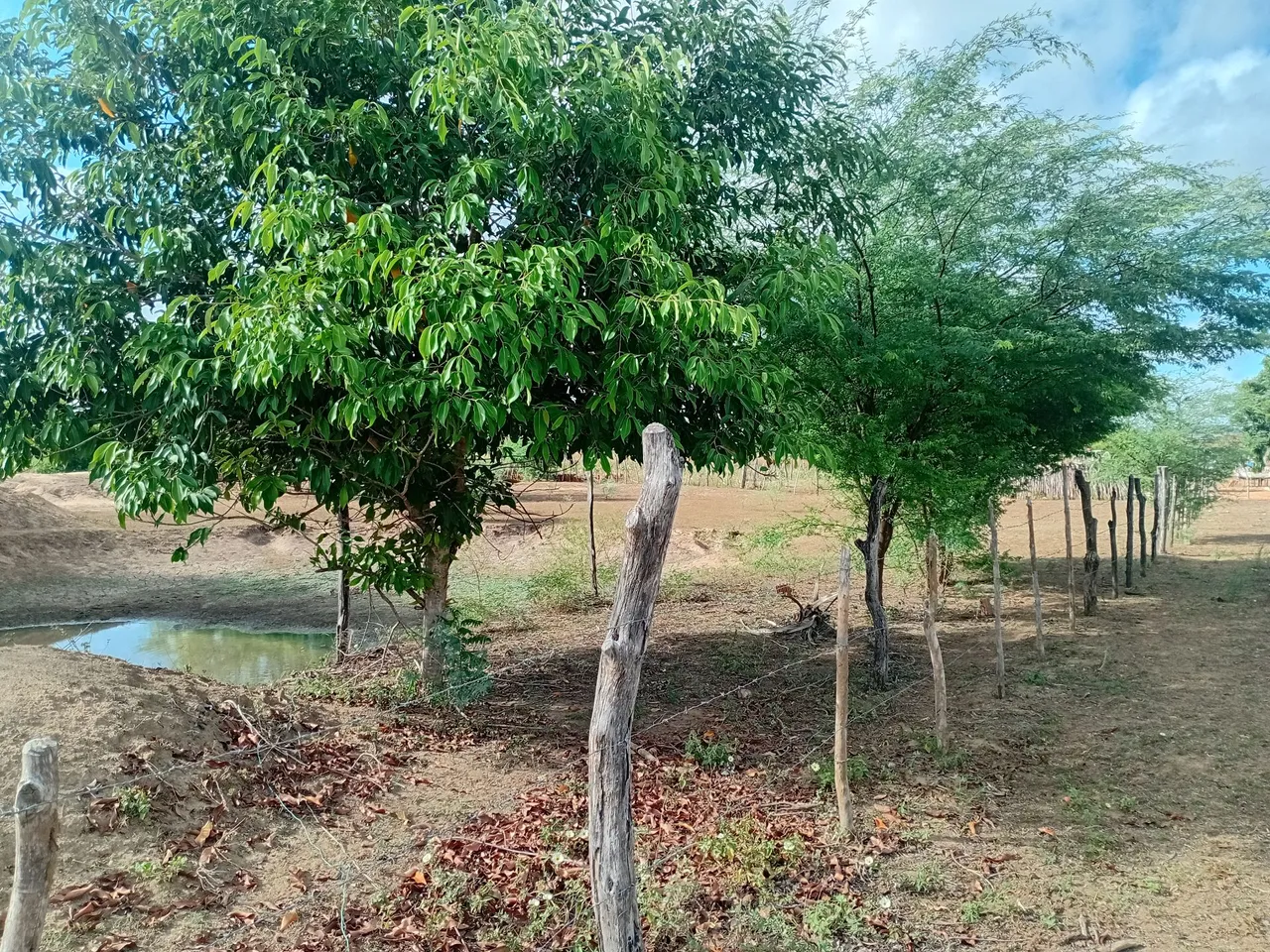 Sitio em São Tomé RN
