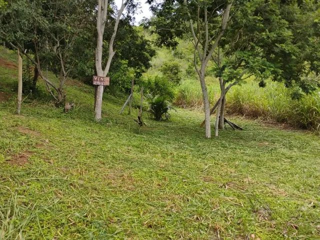 Terreno arborizado em Praia Linda - São Pedro da Aldeia - Foto 5