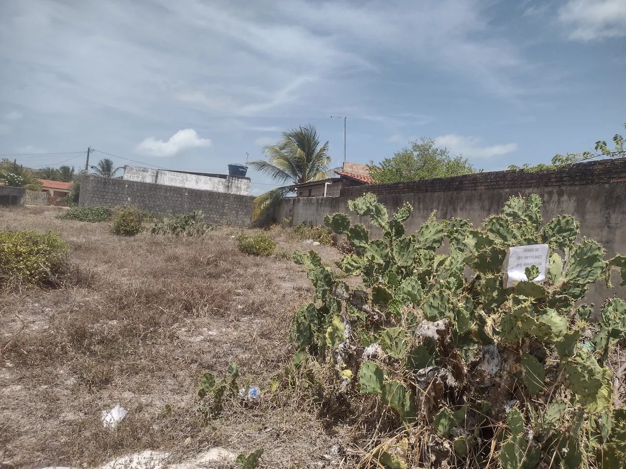 Terreno área plana A partir de 20Mil - Foto 8