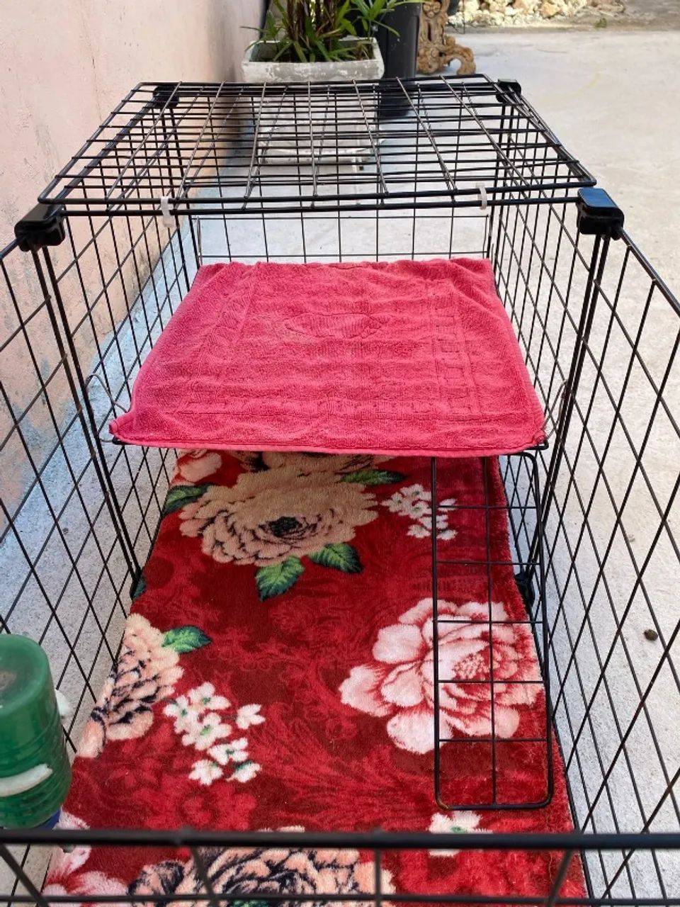 Cercado Para Porquinho-da-Índia 2 Andares Fechados - Apenas R$ 50,00! - Foto 3