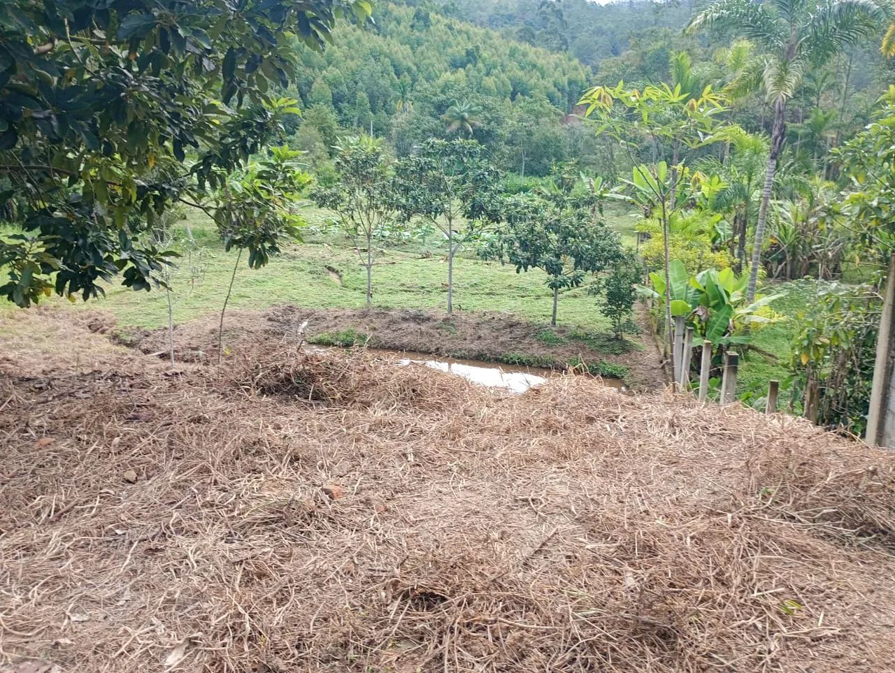 Chácara  - Foto 5
