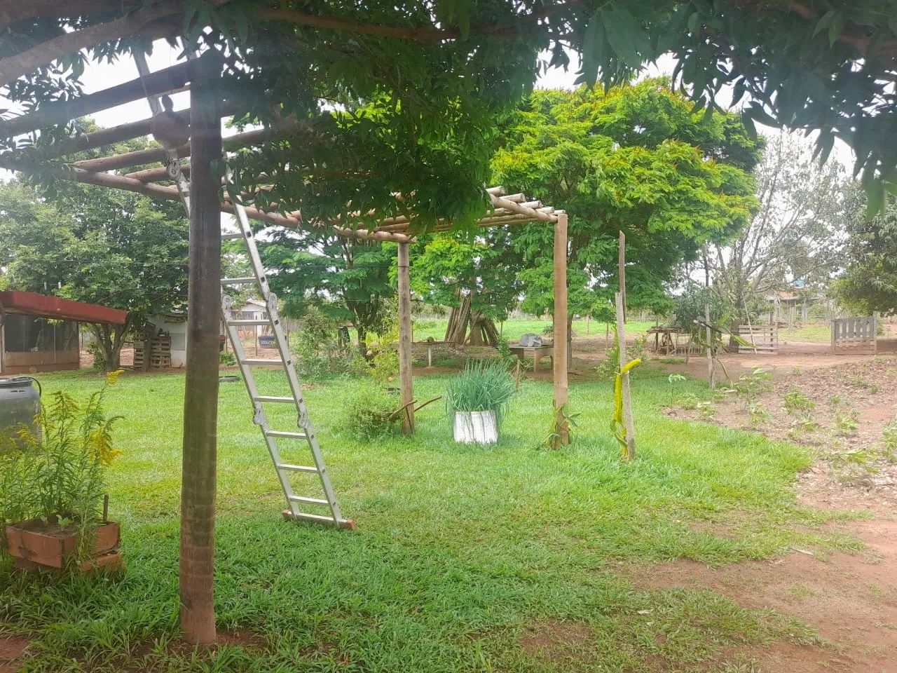 Mini sítio próximo Uberlândia  - Foto 2
