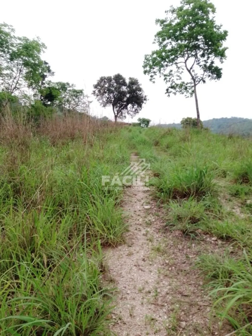 Vende-se Fazenda 30 Alqueires