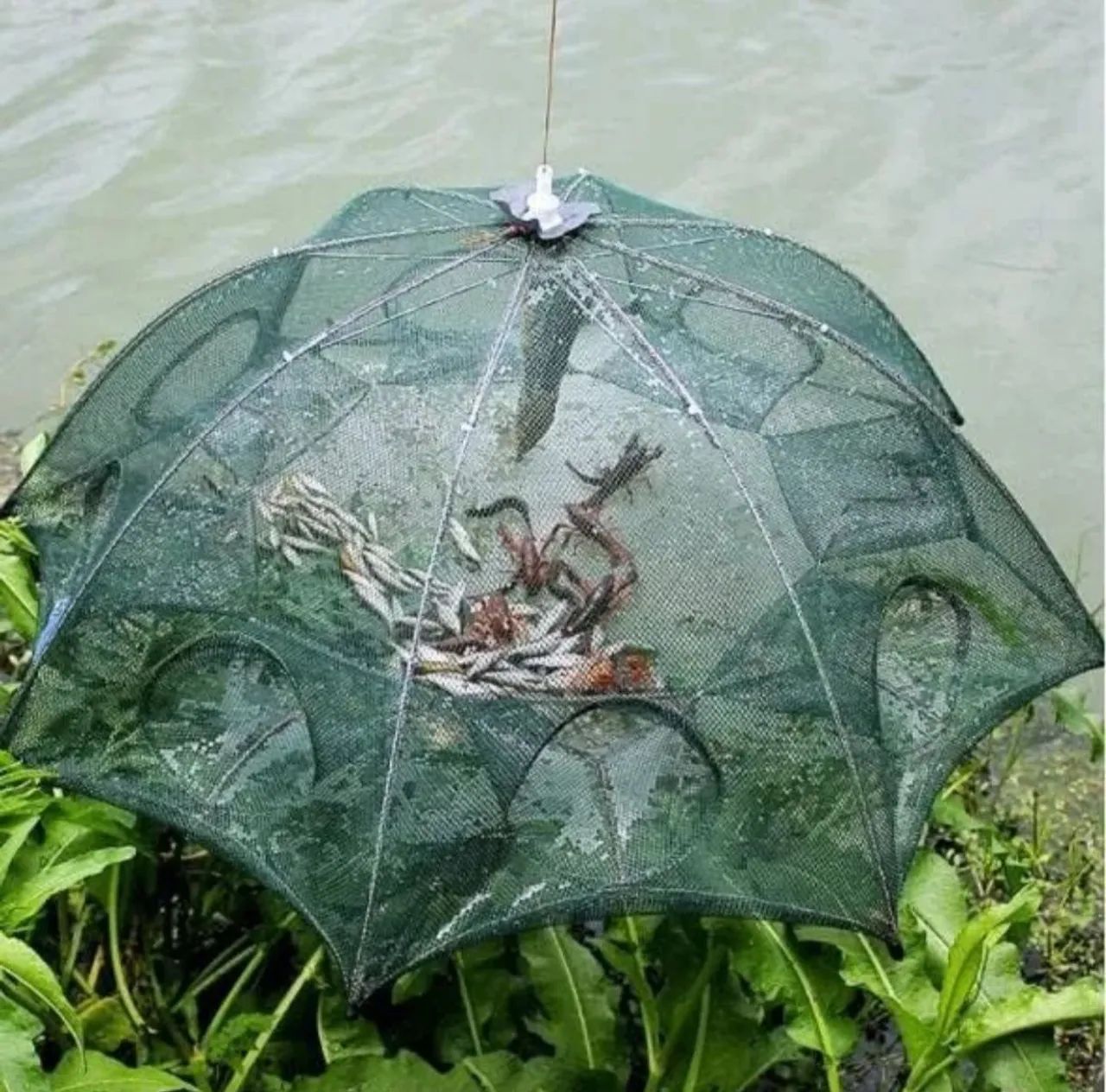 Armadilha Rede de Pesca Dobrável - Fácil, Prática e Resistente