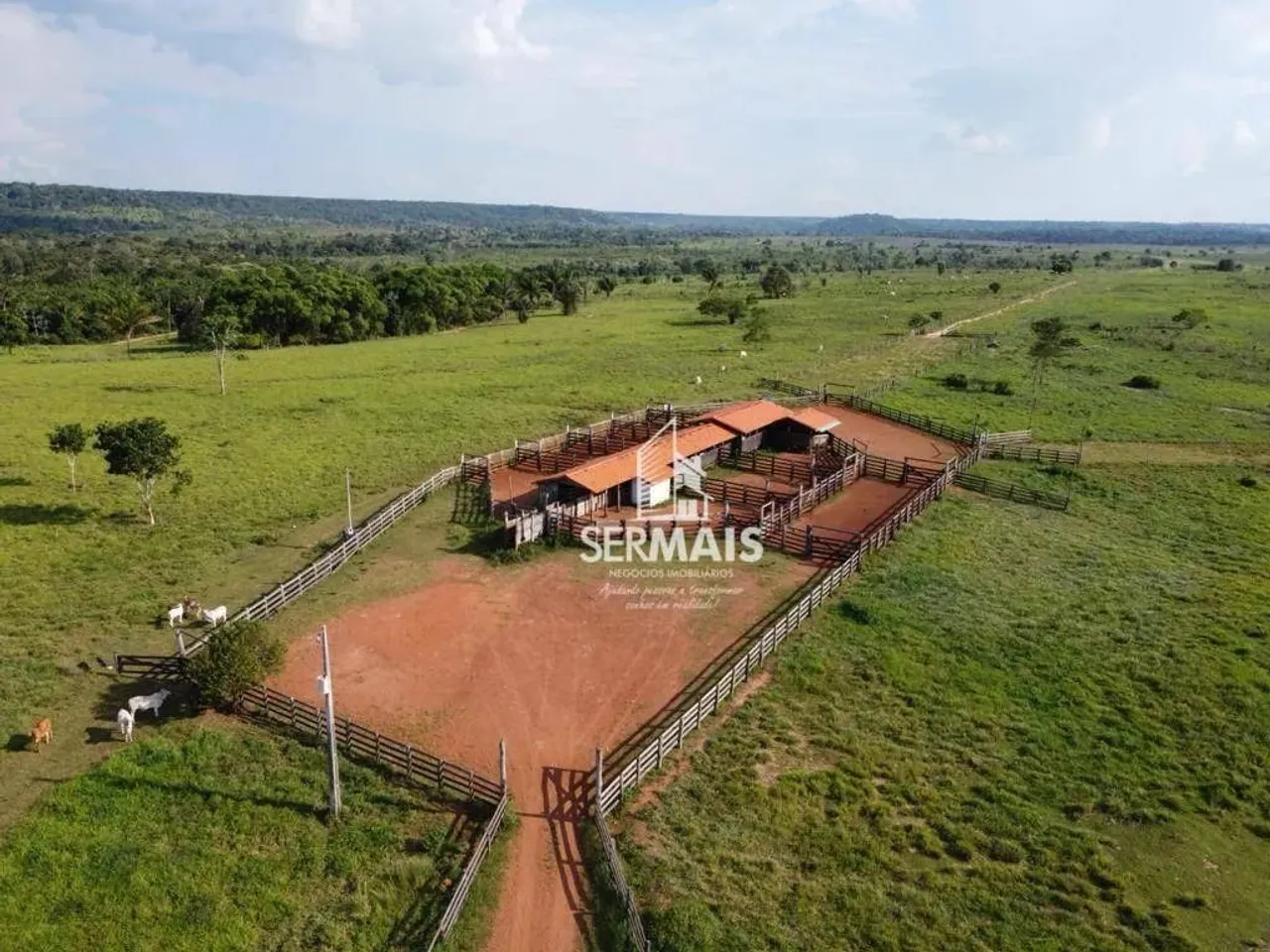 Fazenda à venda, m² por R$ 83.000.000 - Zona Rural - Alto Alegre dos Parecis/RO